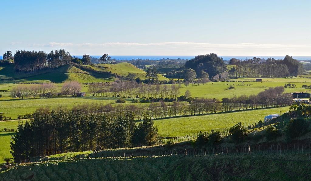 A Touch Of Tuscany At Hillsborough New Plymouth Eksteriør bilde