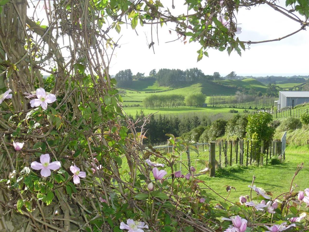 A Touch Of Tuscany At Hillsborough New Plymouth Eksteriør bilde